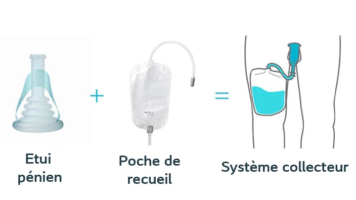 D couvrez Conveen Solution Pour Fuites Urinaires d-couvrez-conveen-solution-pour-fuites-urinaires